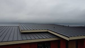 Best Green or Eco-Friendly Roofing Solutions  in Kalamazoo, MI